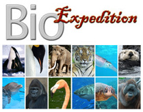 interesting animal facts