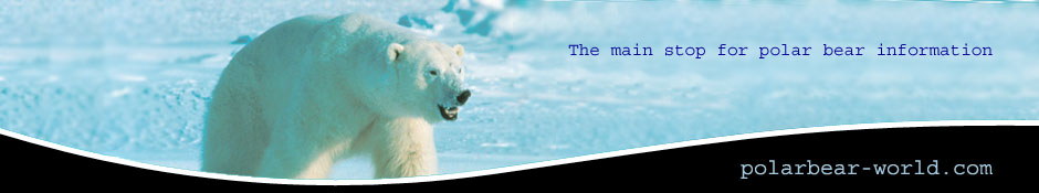polar bear facts