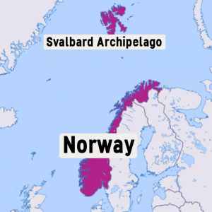 Oso polar de svalbard