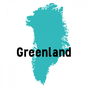 Osos polares en Groenlandia